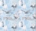 Screenshot_20231016_202309_Chrome